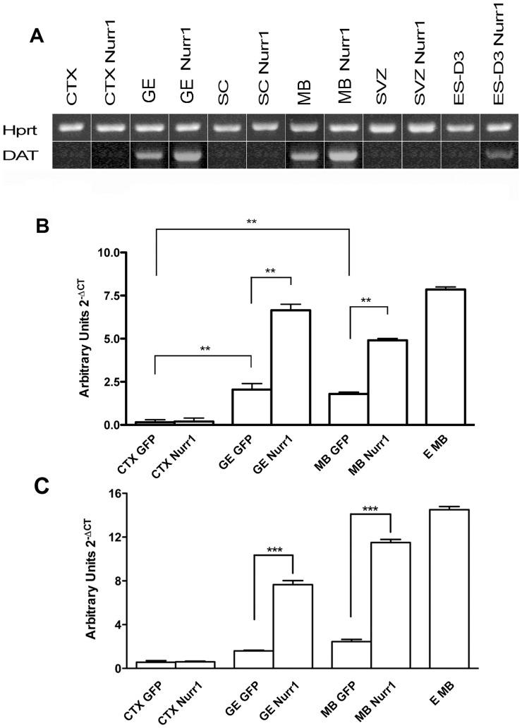 https://cdn.ncbi.nlm.nih.gov/pmc/blobs/0f41/3519900/6e324282d8d5/pone.0051798.g006.jpg