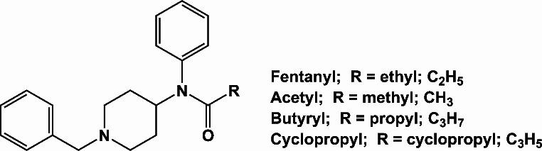 https://cdn.ncbi.nlm.nih.gov/pmc/blobs/0f42/11513704/44085bb66bd5/213_2024_6641_Fig1_HTML.jpg