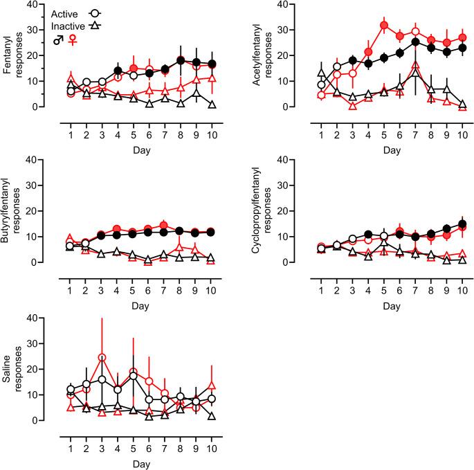 https://cdn.ncbi.nlm.nih.gov/pmc/blobs/0f42/11513704/e9295324689d/213_2024_6641_Fig2_HTML.jpg