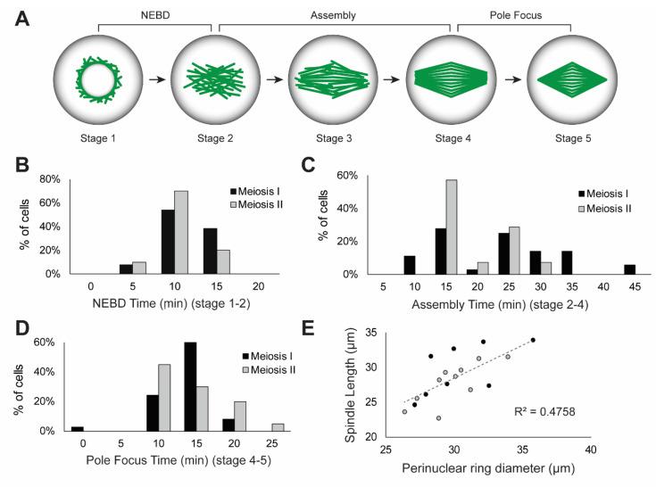 https://cdn.ncbi.nlm.nih.gov/pmc/blobs/0f42/9031645/87cd9e90451e/ijms-23-04293-g002.jpg