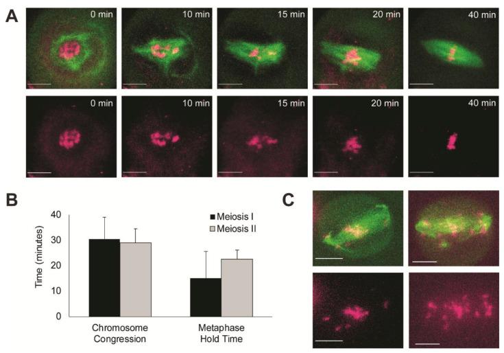https://cdn.ncbi.nlm.nih.gov/pmc/blobs/0f42/9031645/badc953274ef/ijms-23-04293-g003.jpg