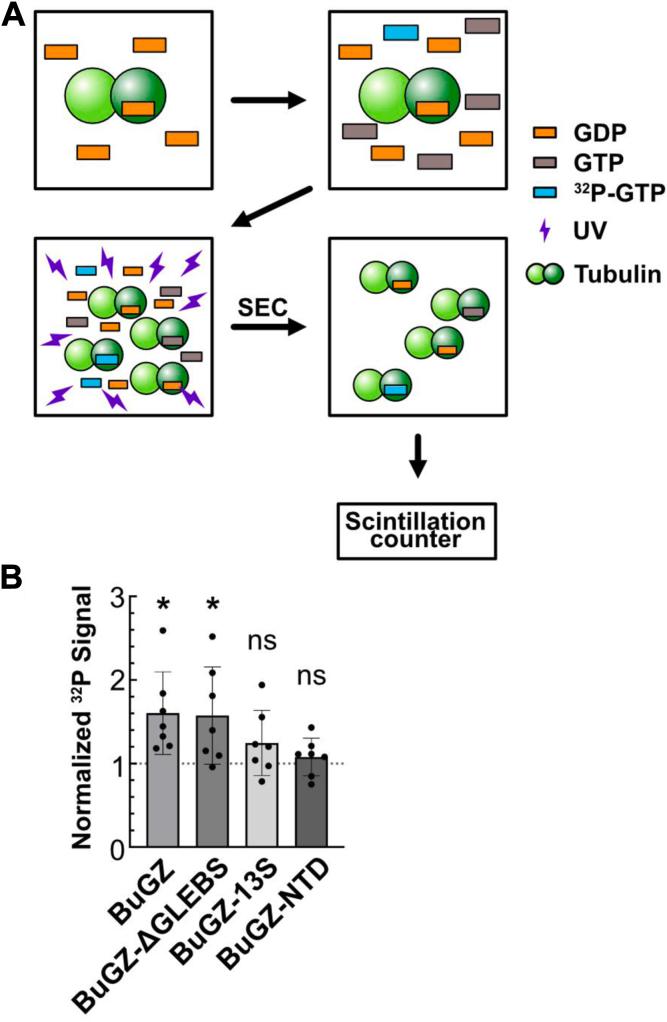 https://cdn.ncbi.nlm.nih.gov/pmc/blobs/0f43/12302650/a89b80b0ce11/gr4.jpg