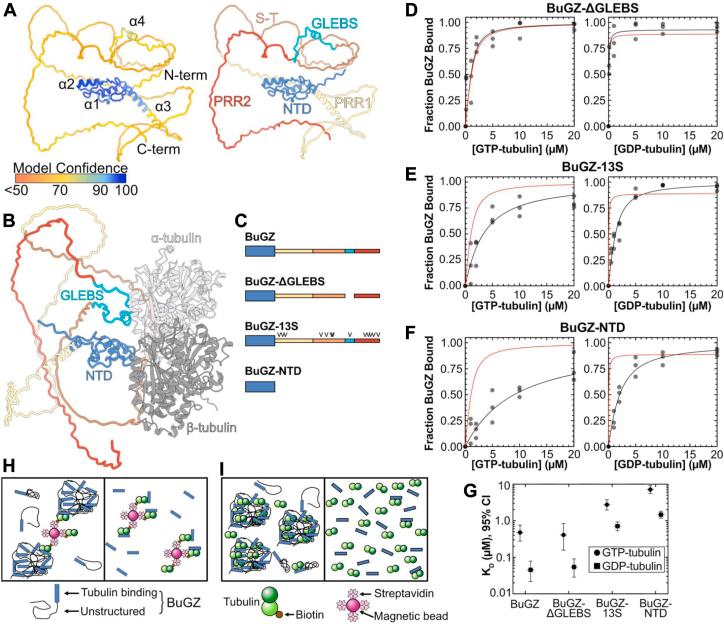 https://cdn.ncbi.nlm.nih.gov/pmc/blobs/0f43/12302650/b861999f6e59/gr3.jpg