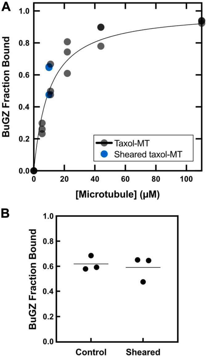 https://cdn.ncbi.nlm.nih.gov/pmc/blobs/0f43/12302650/fa807c4a0470/gr1.jpg