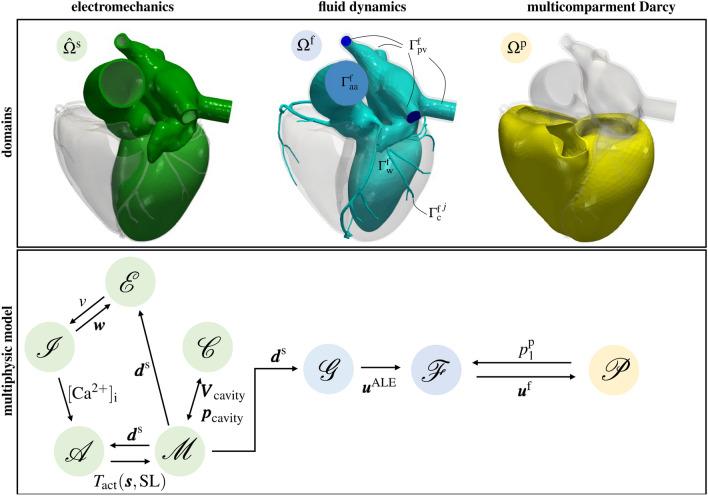 https://cdn.ncbi.nlm.nih.gov/pmc/blobs/0f44/10469210/47b85b019a95/41598_2023_41312_Fig2_HTML.jpg