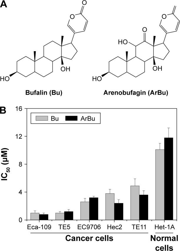 https://cdn.ncbi.nlm.nih.gov/pmc/blobs/0f46/5338965/14e512660663/ott-10-1261Fig1.jpg
