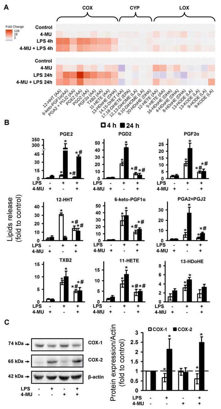 https://cdn.ncbi.nlm.nih.gov/pmc/blobs/0f48/7662953/fce199564c7a/ijms-21-08203-g002.jpg