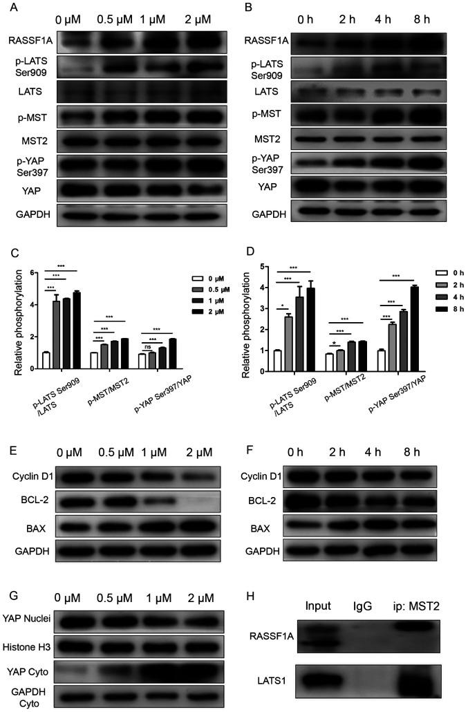 https://cdn.ncbi.nlm.nih.gov/pmc/blobs/0f48/8025490/11aa24118729/mmr-23-06-12053-g02.jpg
