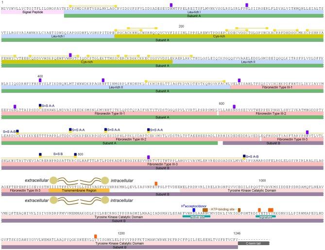 https://cdn.ncbi.nlm.nih.gov/pmc/blobs/0f4b/6291494/e56deae0407b/fendo-09-00745-g0001.jpg
