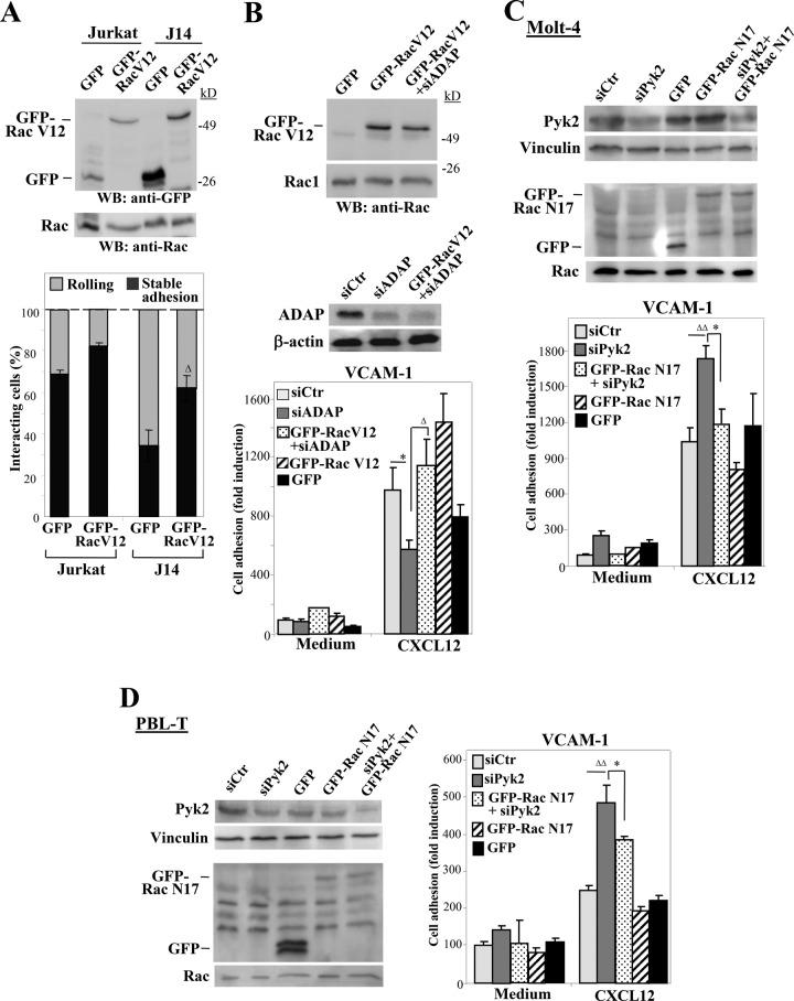 https://cdn.ncbi.nlm.nih.gov/pmc/blobs/0f4c/4569313/7210ae8da076/3215fig6.jpg