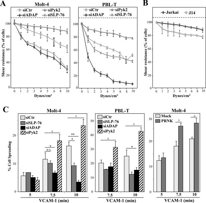 https://cdn.ncbi.nlm.nih.gov/pmc/blobs/0f4c/4569313/7646b0e933c5/3215fig4.jpg