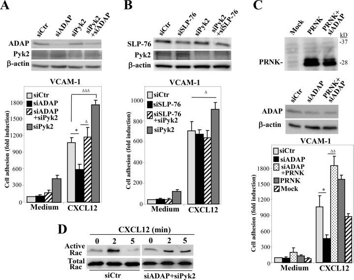 https://cdn.ncbi.nlm.nih.gov/pmc/blobs/0f4c/4569313/cb22f41c5653/3215fig7.jpg