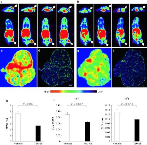 https://cdn.ncbi.nlm.nih.gov/pmc/blobs/0f4d/3496517/af83ab9ec752/10456_2012_9281_Fig4_HTML.jpg