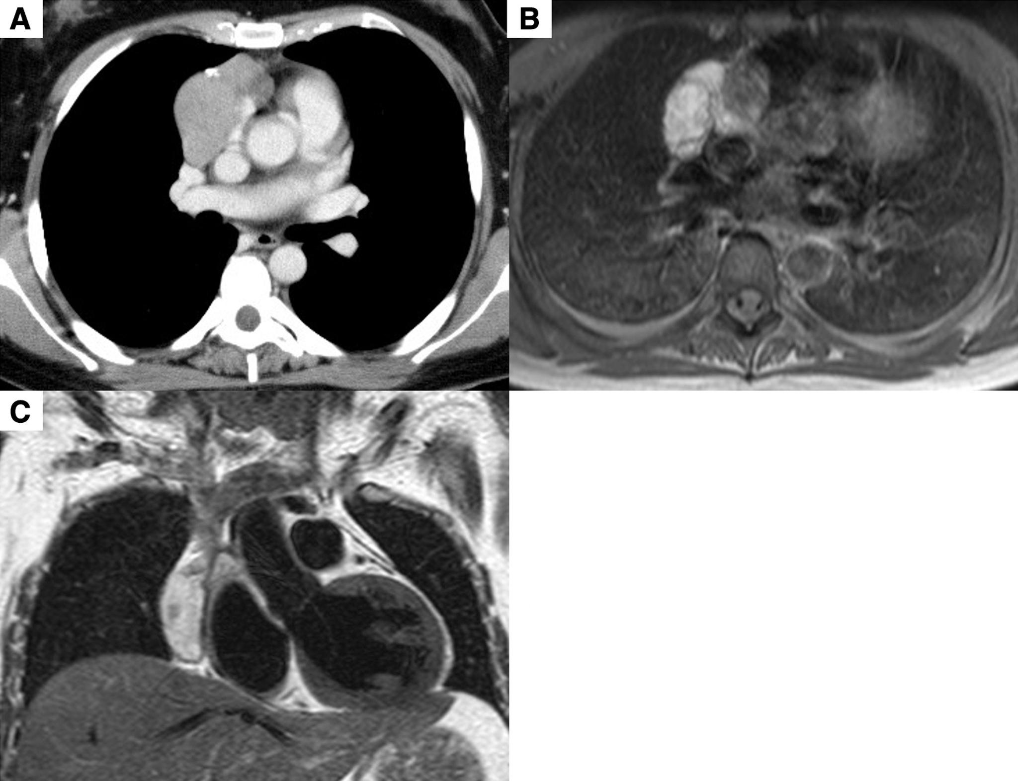 https://cdn.ncbi.nlm.nih.gov/pmc/blobs/0f4e/9763711/c9a661957c44/atcs-28-448-g001.jpg