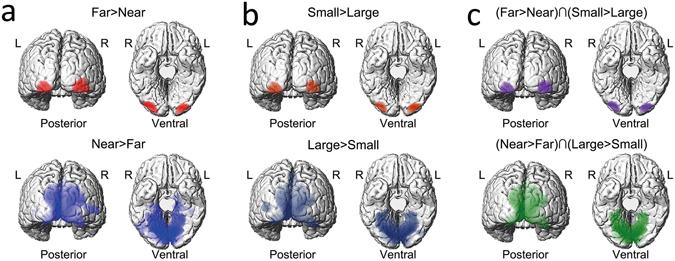 https://cdn.ncbi.nlm.nih.gov/pmc/blobs/0f55/5468224/2b7ea6037ec3/41598_2017_3652_Fig1_HTML.jpg