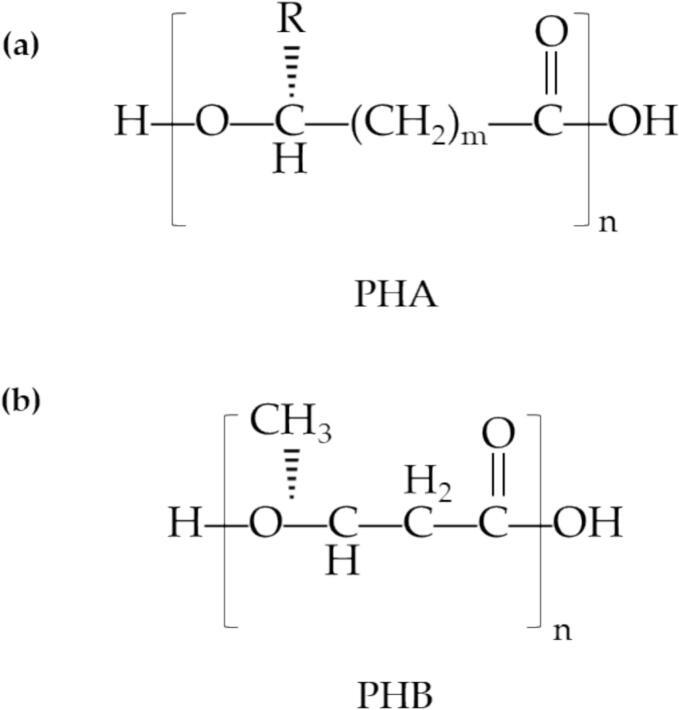 https://cdn.ncbi.nlm.nih.gov/pmc/blobs/0f56/11729033/19472bc2b00e/gr8.jpg