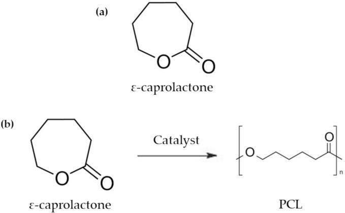 https://cdn.ncbi.nlm.nih.gov/pmc/blobs/0f56/11729033/26ff7fd9a337/gr5.jpg