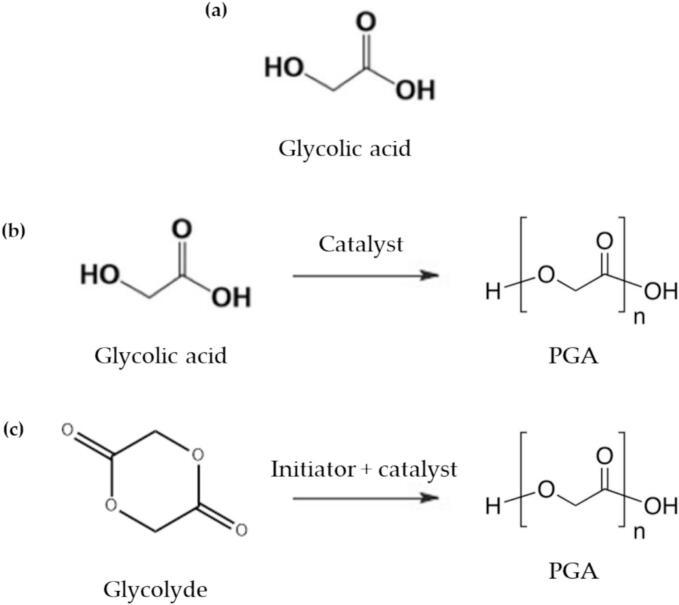 https://cdn.ncbi.nlm.nih.gov/pmc/blobs/0f56/11729033/353cae66abc2/gr4.jpg