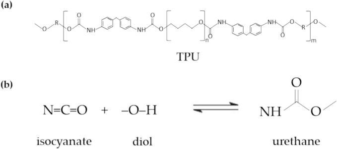 https://cdn.ncbi.nlm.nih.gov/pmc/blobs/0f56/11729033/88786c38da25/gr7.jpg