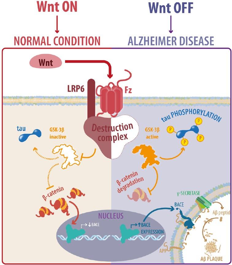 https://cdn.ncbi.nlm.nih.gov/pmc/blobs/0f58/6128062/1d46e9be09a1/NRR-13-1705-g001.jpg