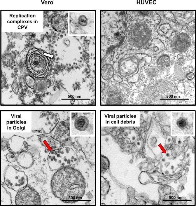 https://cdn.ncbi.nlm.nih.gov/pmc/blobs/0f5b/4503567/85bb0a0799b3/pone.0133267.g008.jpg