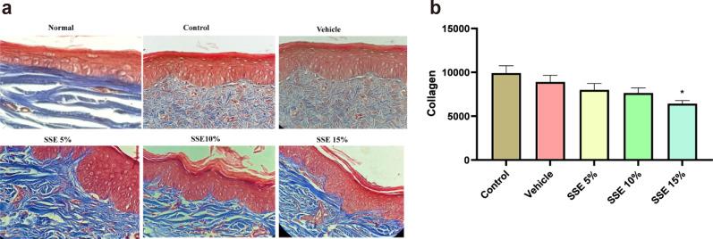 https://cdn.ncbi.nlm.nih.gov/pmc/blobs/0f5b/9510145/066d03f8a5f5/jop-25-3-258-f7.jpg