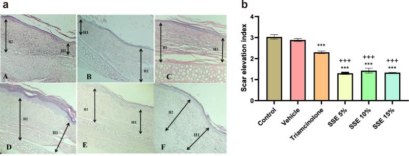https://cdn.ncbi.nlm.nih.gov/pmc/blobs/0f5b/9510145/e7e60a90b748/jop-25-3-258-f4.jpg