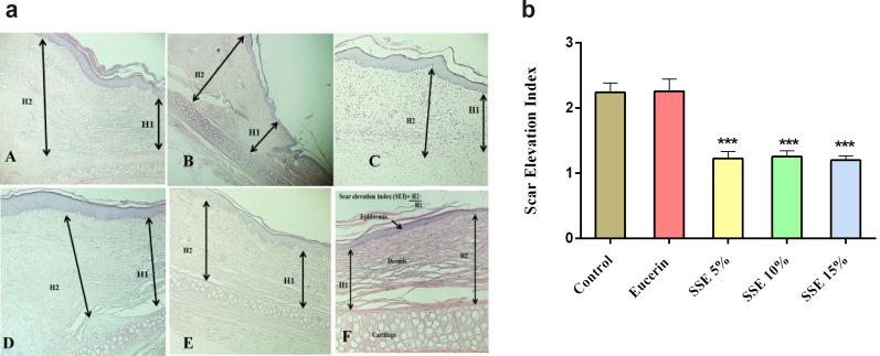 https://cdn.ncbi.nlm.nih.gov/pmc/blobs/0f5b/9510145/f4e2b27c9d41/jop-25-3-258-f3.jpg