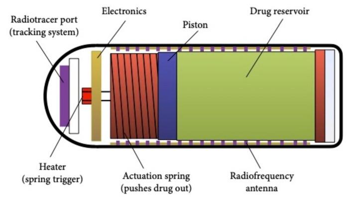 https://cdn.ncbi.nlm.nih.gov/pmc/blobs/0f5d/8707371/a3563e23dbae/jcm-10-05791-g001.jpg