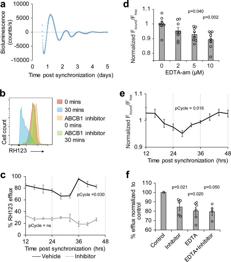 https://cdn.ncbi.nlm.nih.gov/pmc/blobs/0f5e/7841146/778497ee3a97/41467_2020_20795_Fig4_HTML.jpg