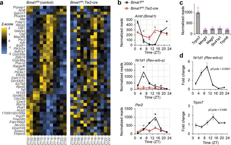https://cdn.ncbi.nlm.nih.gov/pmc/blobs/0f5e/7841146/d2ea57ae862b/41467_2020_20795_Fig3_HTML.jpg