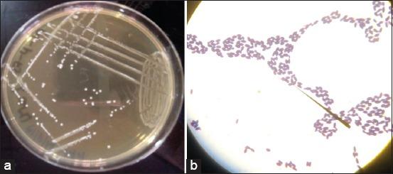 https://cdn.ncbi.nlm.nih.gov/pmc/blobs/0f5f/6989311/c2f4a8aa6e75/Vetworld-12-1951-g001.jpg
