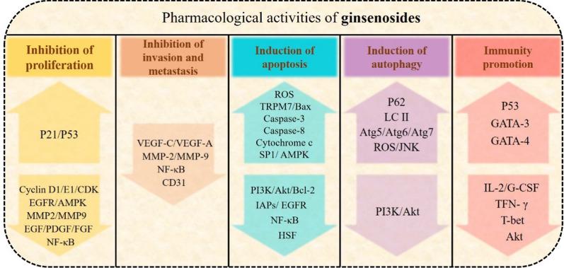 https://cdn.ncbi.nlm.nih.gov/pmc/blobs/0f5f/8518152/1e253d9ddd26/12951_2021_1062_Fig3_HTML.jpg