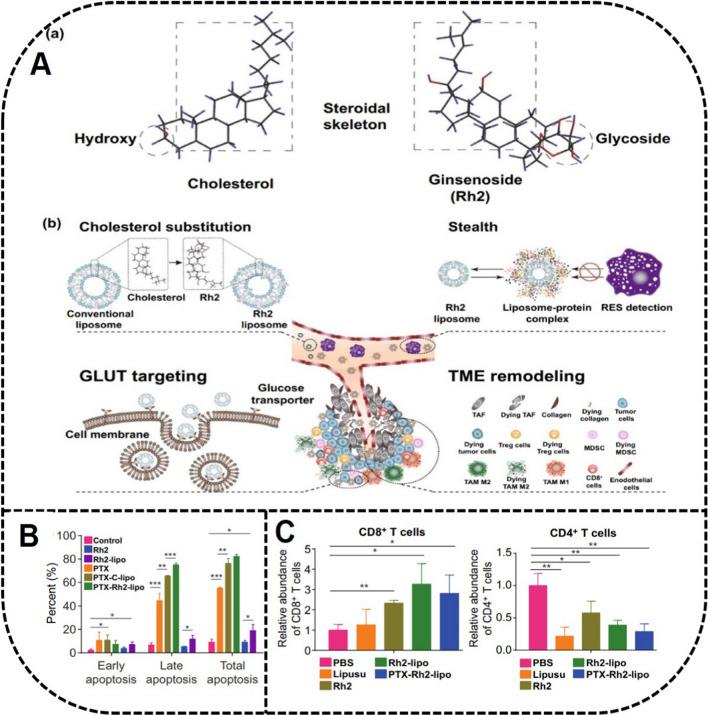 https://cdn.ncbi.nlm.nih.gov/pmc/blobs/0f5f/8518152/b64fa2fbe598/12951_2021_1062_Fig10_HTML.jpg