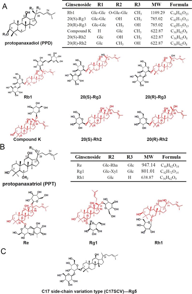 https://cdn.ncbi.nlm.nih.gov/pmc/blobs/0f5f/8518152/f8d7121cc0a5/12951_2021_1062_Fig2_HTML.jpg