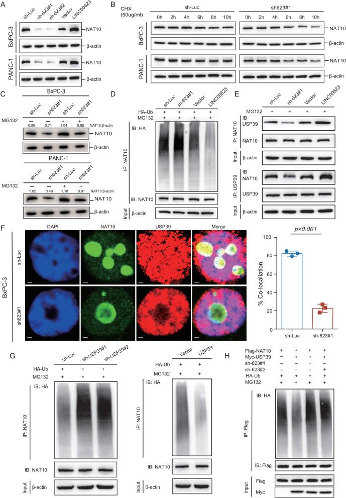 https://cdn.ncbi.nlm.nih.gov/pmc/blobs/0f61/9387035/44b58f10b7d6/13045_2022_1338_Fig4_HTML.jpg