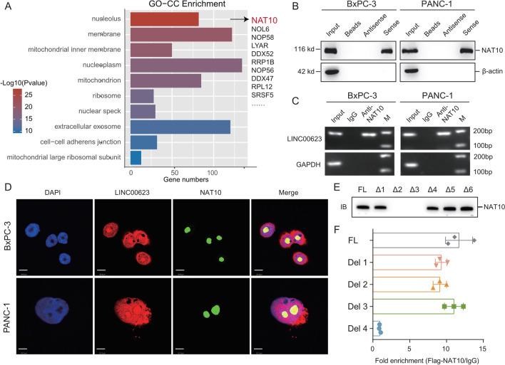 https://cdn.ncbi.nlm.nih.gov/pmc/blobs/0f61/9387035/d19c4b58a3e0/13045_2022_1338_Fig3_HTML.jpg
