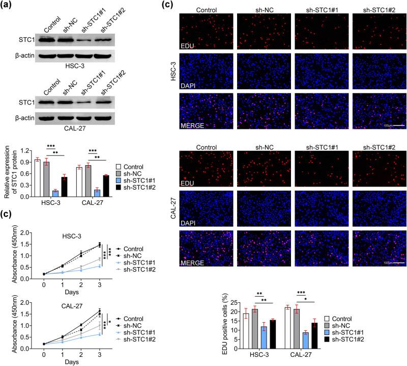 https://cdn.ncbi.nlm.nih.gov/pmc/blobs/0f63/11282916/9abba5317f86/j_biol-2022-0907-fig002.jpg