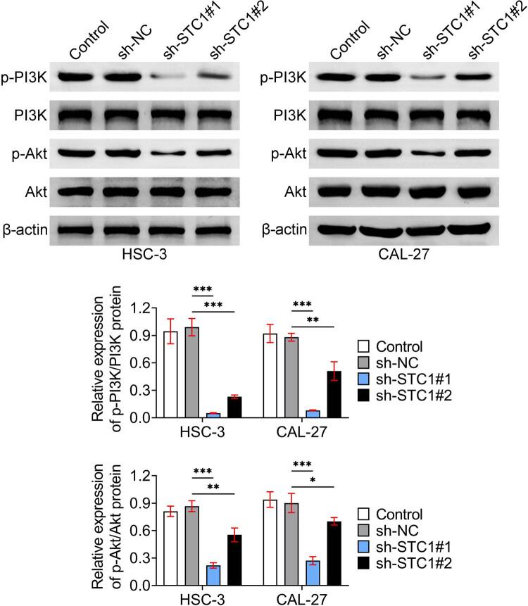 https://cdn.ncbi.nlm.nih.gov/pmc/blobs/0f63/11282916/d6922af86805/j_biol-2022-0907-fig004.jpg