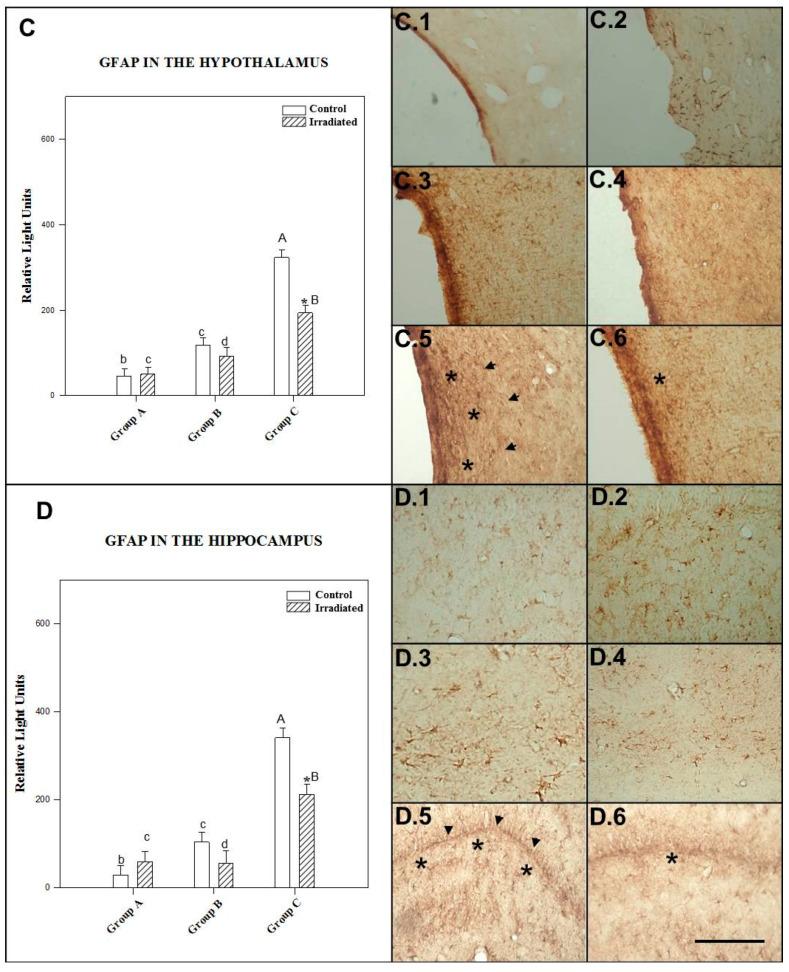 https://cdn.ncbi.nlm.nih.gov/pmc/blobs/0f63/8151023/2314d74a334f/ijms-22-05103-g006.jpg