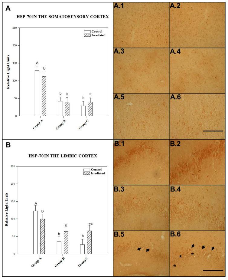 https://cdn.ncbi.nlm.nih.gov/pmc/blobs/0f63/8151023/47611ca3f7ce/ijms-22-05103-g001.jpg