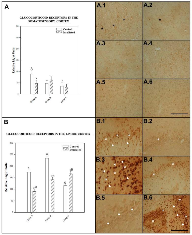 https://cdn.ncbi.nlm.nih.gov/pmc/blobs/0f63/8151023/47cc9c5f8a83/ijms-22-05103-g003.jpg