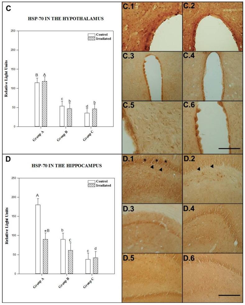 https://cdn.ncbi.nlm.nih.gov/pmc/blobs/0f63/8151023/6c4f0d48527b/ijms-22-05103-g002.jpg