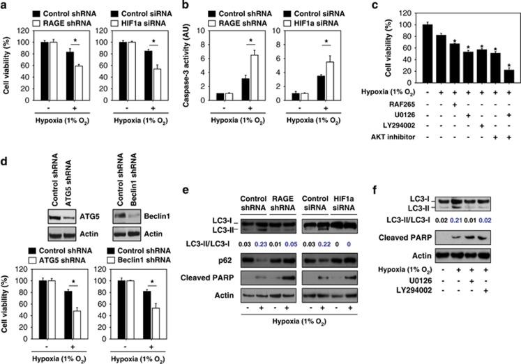https://cdn.ncbi.nlm.nih.gov/pmc/blobs/0f64/4237264/308c8911157d/cddis2014445f4.jpg