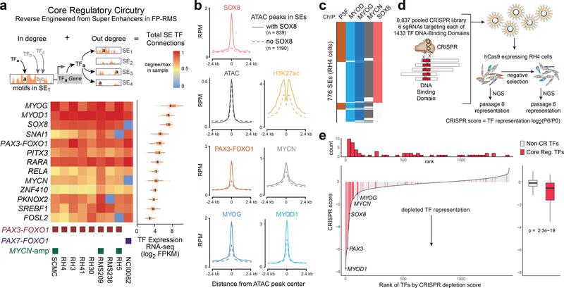 https://cdn.ncbi.nlm.nih.gov/pmc/blobs/0f65/6886578/8518f7155c2a/nihms-1541485-f0001.jpg