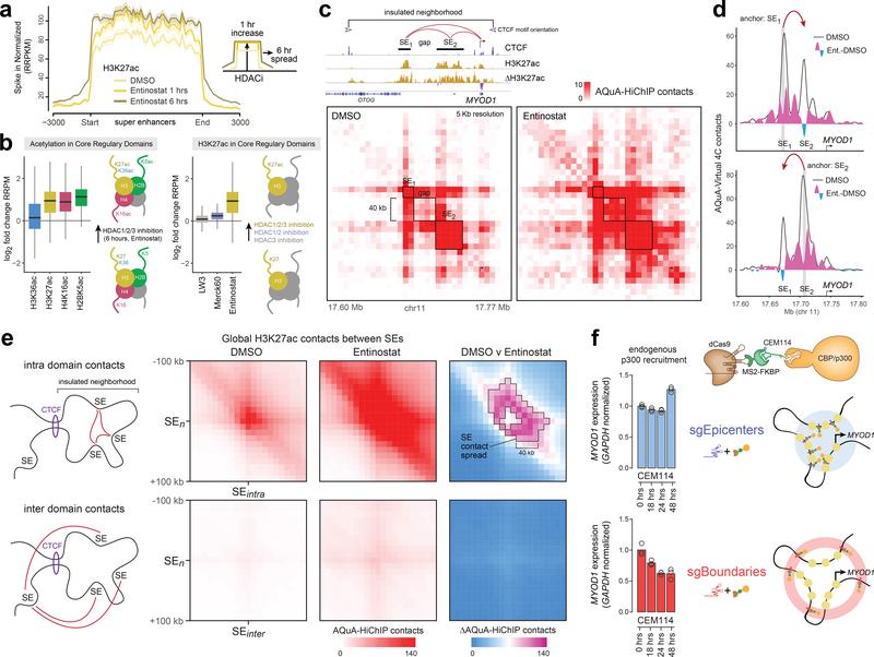 https://cdn.ncbi.nlm.nih.gov/pmc/blobs/0f65/6886578/931f1f908278/nihms-1541485-f0004.jpg