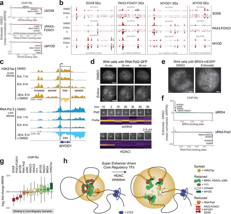 https://cdn.ncbi.nlm.nih.gov/pmc/blobs/0f65/6886578/b56d81c35ff4/nihms-1541485-f0005.jpg