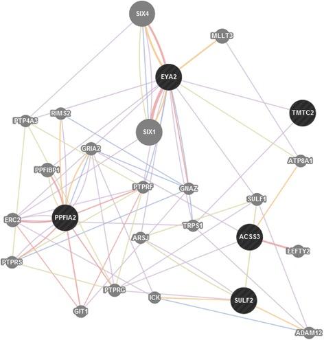 https://cdn.ncbi.nlm.nih.gov/pmc/blobs/0f66/4600213/e807925574b3/12864_2015_1977_Fig4_HTML.jpg