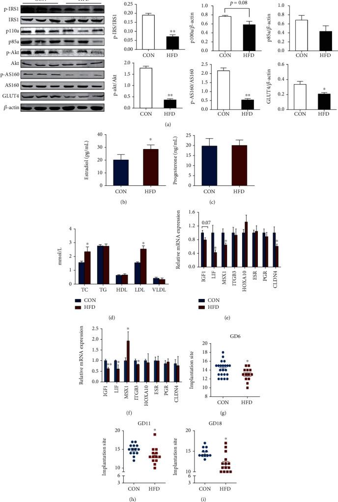 https://cdn.ncbi.nlm.nih.gov/pmc/blobs/0f66/8057892/225b311788c6/OMCL2021-6655685.005.jpg