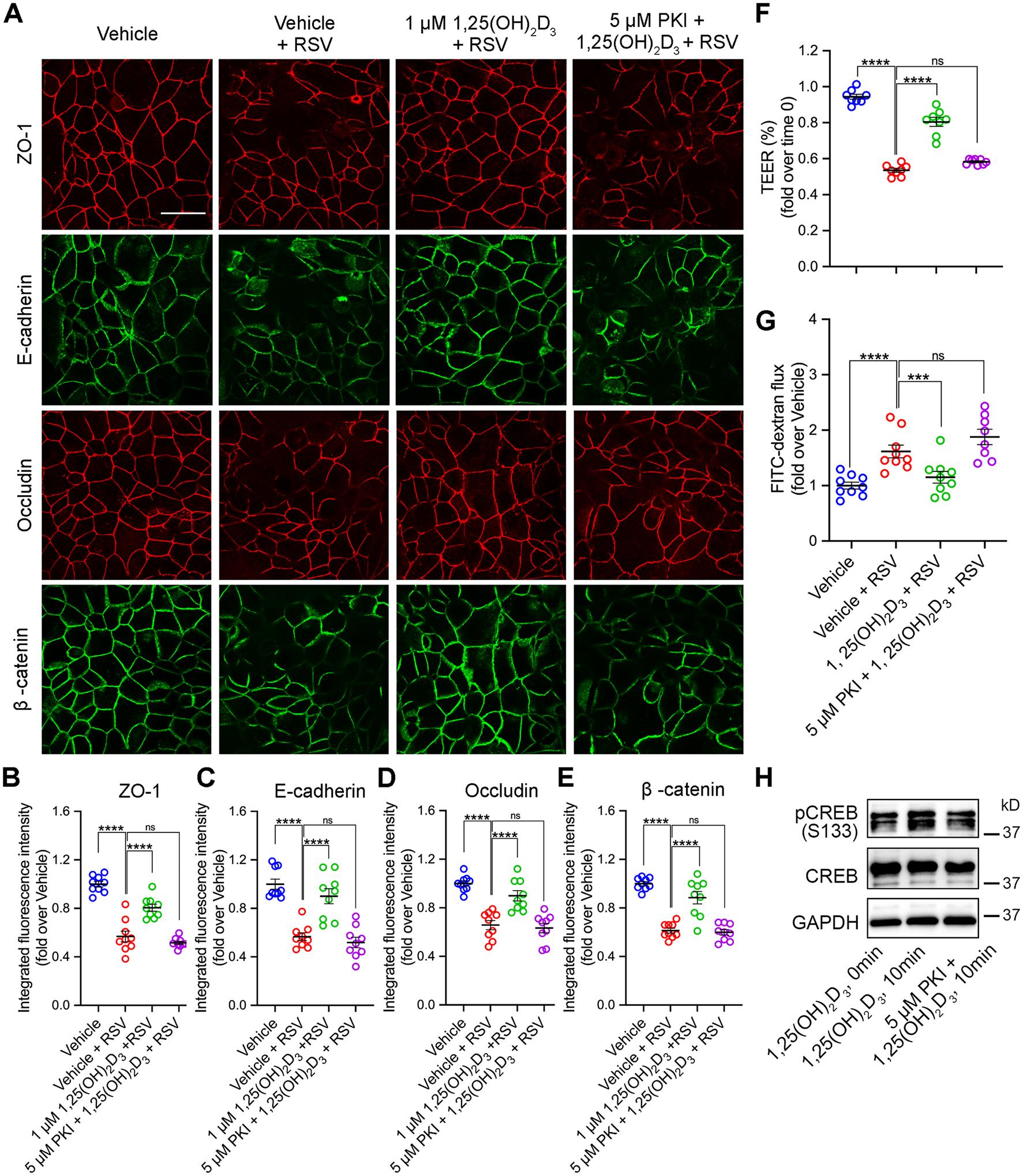 https://cdn.ncbi.nlm.nih.gov/pmc/blobs/0f67/10773979/2f6f95cfa62e/nihms-1956010-f0007.jpg